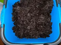  - Klik om te vergroten