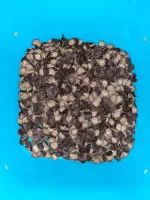  - Klik om te vergroten